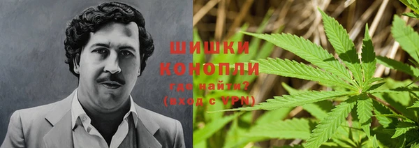 дживик Наволоки