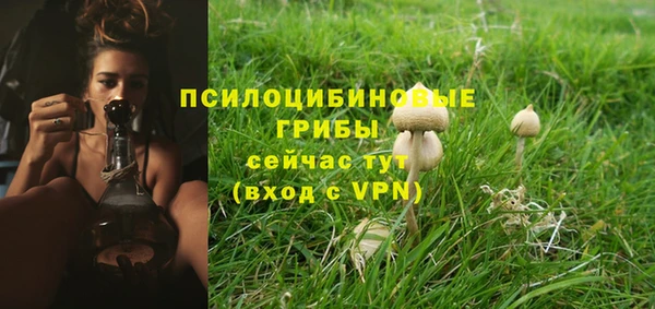 герыч Надым