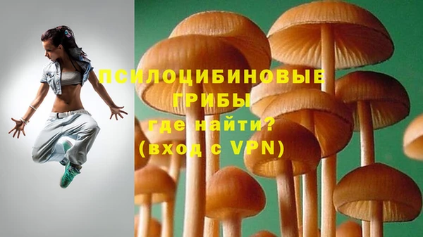 герыч Надым